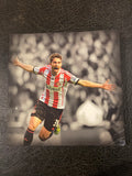 Fabio Borini Wooden Picture