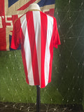 Sunderland 2016/17 home shirt signed by Jermain Defoe