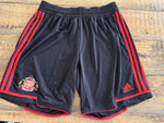 Sunderland Adidas home shorts