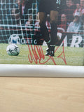 Signed Thomas Myhre Picture