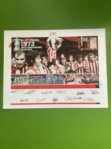 1973 40th Anniversary Player Moments Collage Signed A3 Print