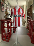 Sunderland AFC Home Shirt Medium Short Sleeve 2013/14