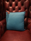 Sunderland Light Blue Cushion