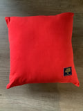 Sunderland Club and Country Shirt Cushion