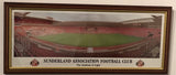 Framed The Stadium Of Light Picture