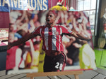 Jermain Defoe Celebrating Unsigned A3 Print