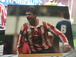 Niall Quinn Celebrating Unsigned A3 Print