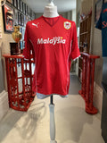 Cardiff 2013-14 Home Shirt Large